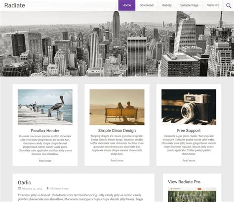 55+ Best FREE WordPress Themes and Templates for 2018