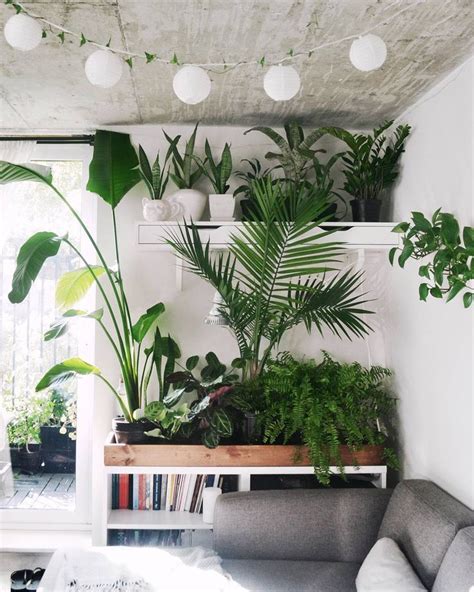 569 best images about Plants :: Indoor, Hanging & DIY Pots ...