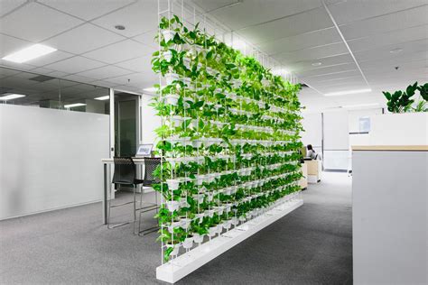 6 Business Benefits of Green Walls   Ambius Australia ...