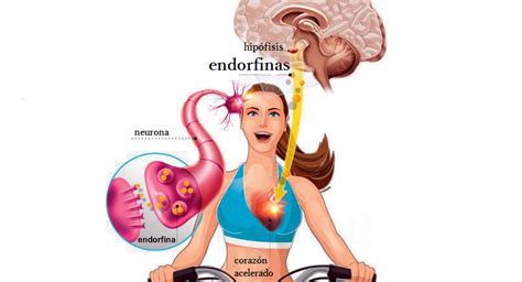 6 Maneras de estimular las endorfinas