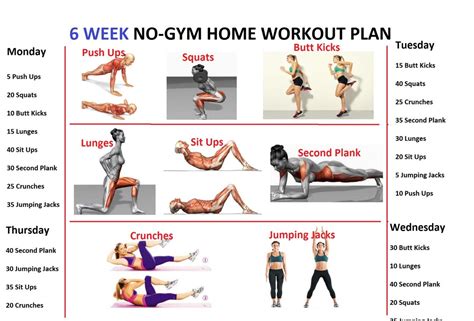 6 Week No Gym Home Workout Plan – FITNESS