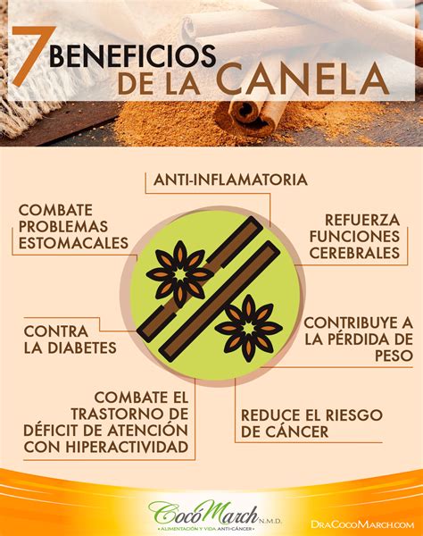 7 Beneficios De La Canela Para La Salud | Coco March