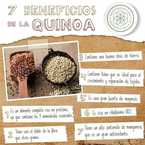 7 Beneficios de la QUINOA | Quinoa & chia | Pinterest ...