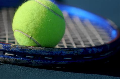 7 Curiosidades del tenis por el Día Mundial de este ...