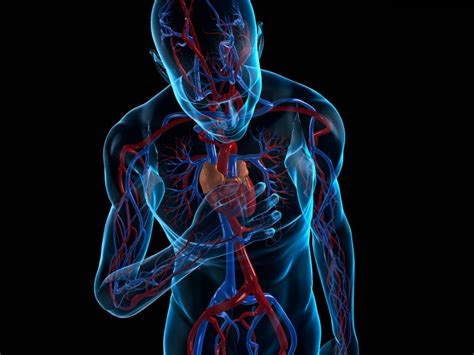 7 enfermedades del corazón poco comunes   Síndrome de Brugada