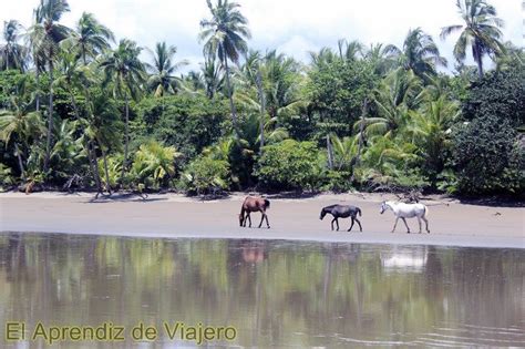 7 imprescindibles rincones idílicos de Costa Rica   El ...