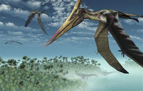 7 mitos y errores comunes sobre los dinosaurios que ...
