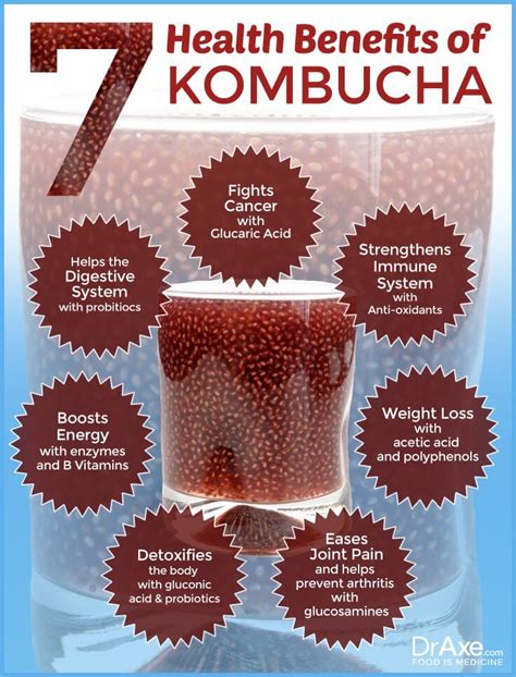 7 Reasons to Drink Kombucha Every Day   Dr. Axe