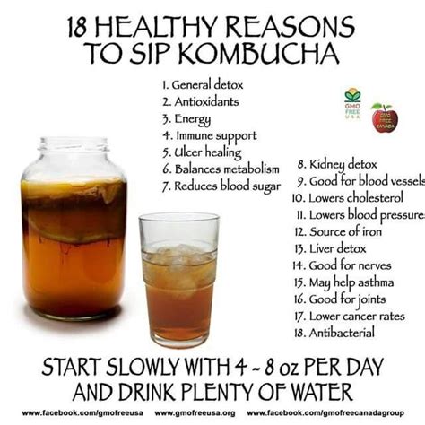 7 Reasons Why You Should Drink Kombucha for Good Gut Health
