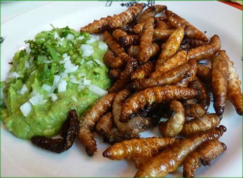 7 suculentos insectos que son parte de la cocina mexicana ...