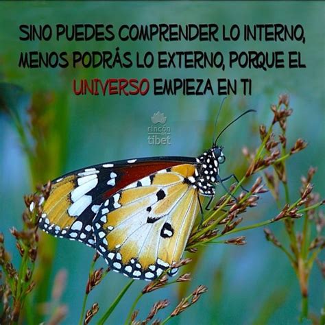 71 best MARIPOSAS. Bellezas en el aire. images on Pinterest