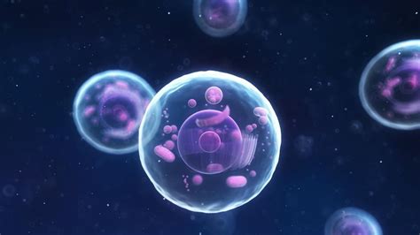 8 Preguntas sobre las células respondidas por expertos  Video