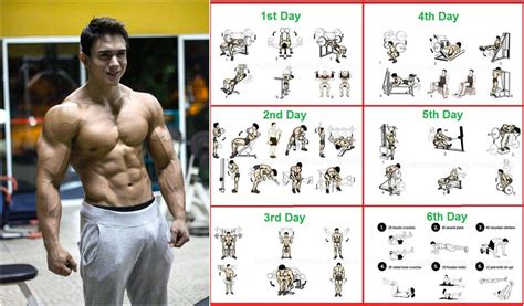 8 Weeks Workout Program For Beginners   Gym Workout Chart