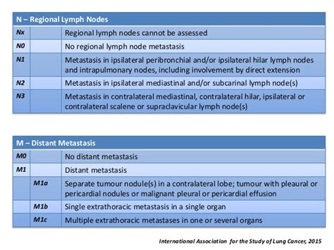 8th Edition of the TNM Classification for Lung Cancer