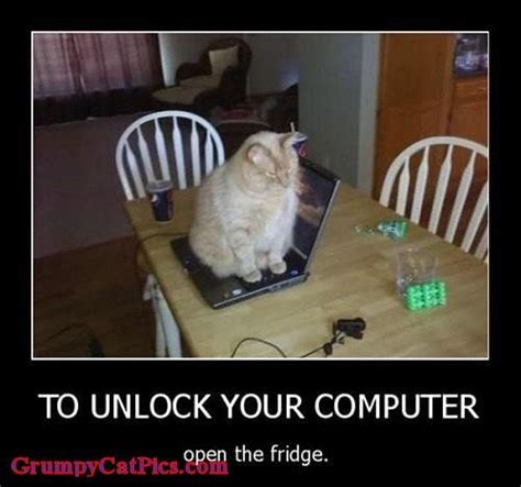 9 best images about Computer Cats on Pinterest | Cats ...