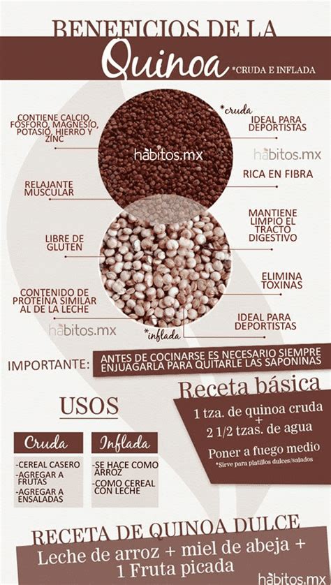 9 Espectaculares Beneficios Y Propiedades De La Quinoa ...