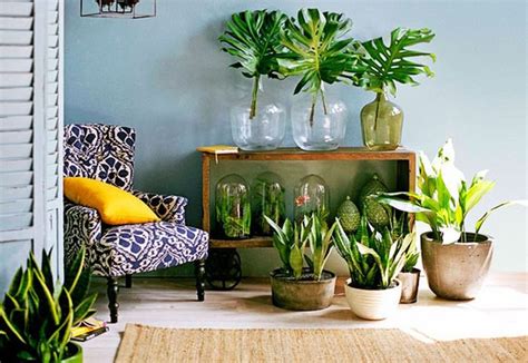 99 Great Ideas to display Houseplants | Indoor Plants ...