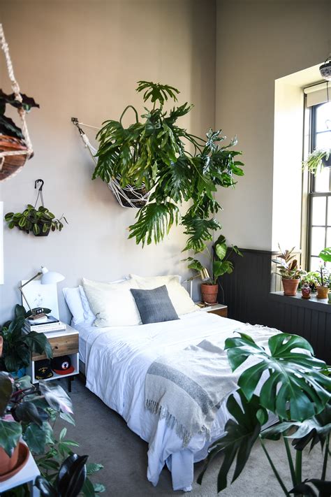A Baltimore Loft Filled Floor To Ceiling With Plants ...
