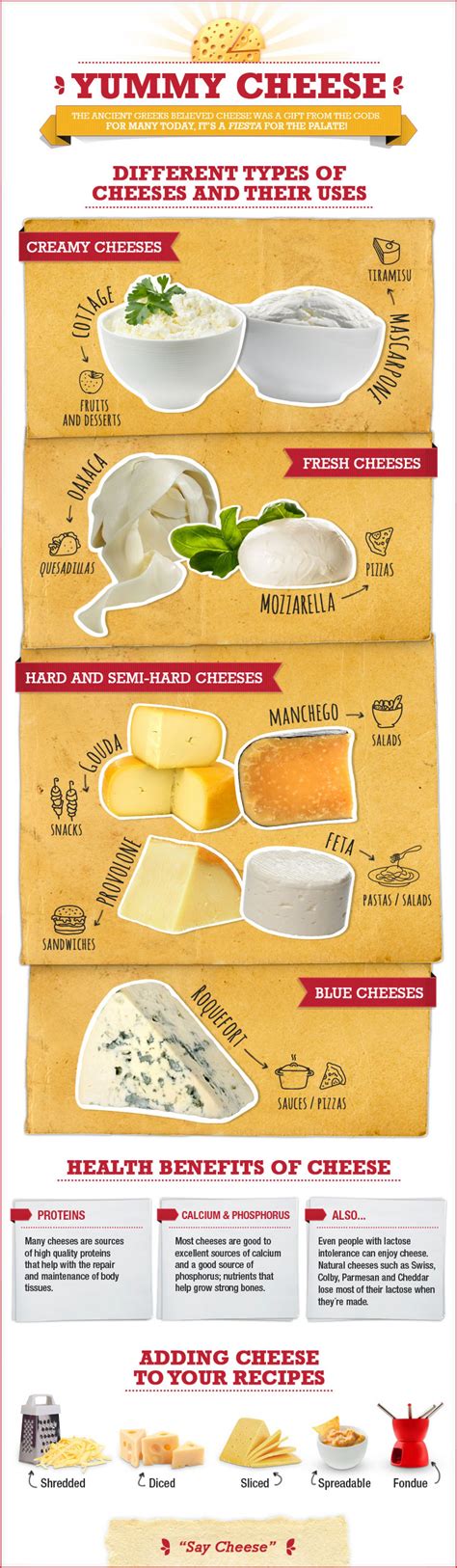 A Cheese Course: The Basic Types and Uses of Cheese ...