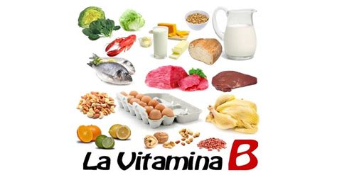 A cosa servono le vitamine del gruppo B?   ZEA Universe