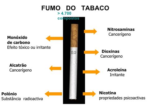 A Historia Do Tabaco E OrentaçõEs