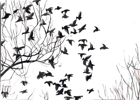 A Journey with Iqbal: Black & White Birds