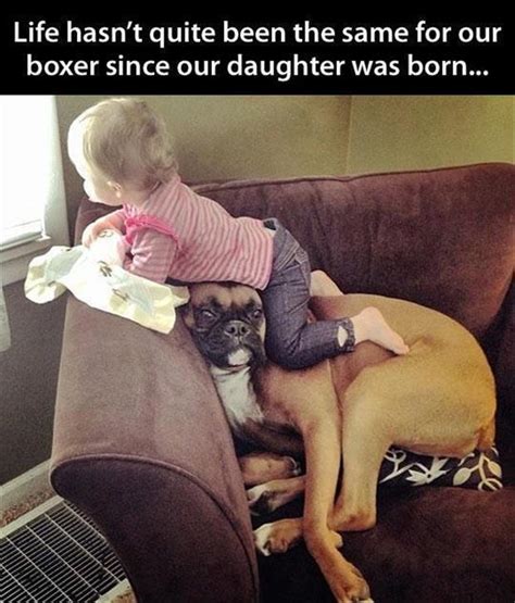 a kids and dogs funny pictures   Dump A Day