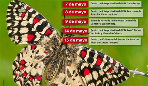 A la búsqueda de mariposas | Radio Santander | Cadena SER
