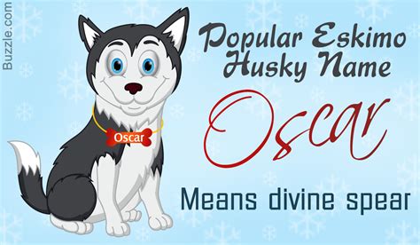 A List of the Most Popular Eskimo Husky Names and their ...