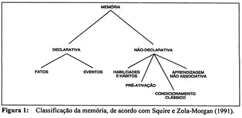 A modularidade da memória e o sistema nervoso