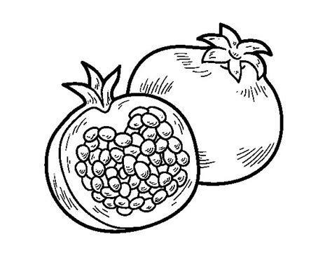 A pomegranate coloring page   Coloringcrew.com