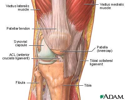 A Simple Fix for Knee Pain » PfitBlog