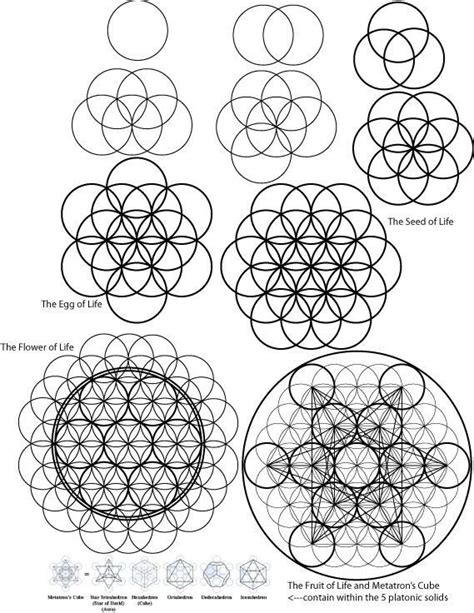A visual description of how to draw the Flower of Life and ...