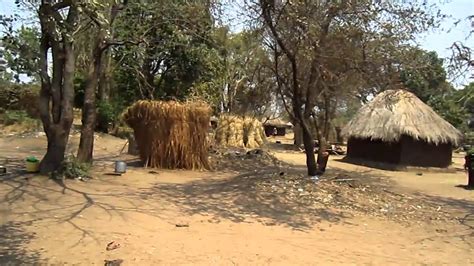 A WALK THROUGH THE VILLAGE IN MFUWE, ZAMBIA  Africa .MOV ...