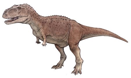 Abelisaurus | Wiki Prehistórico | Fandom powered by Wikia
