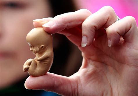 Aborto Bioquímico; Qué es, Causas y Síntomas | EBDTB