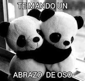 Abrazo de Oso. | Abrazos | Pinterest | Hug