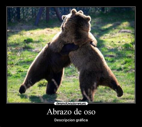 Abrazo de oso | Desmotivaciones