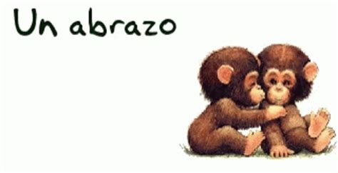 Abrazo Monkey GIF   Abrazo Monkey Kiss   Discover & Share GIFs