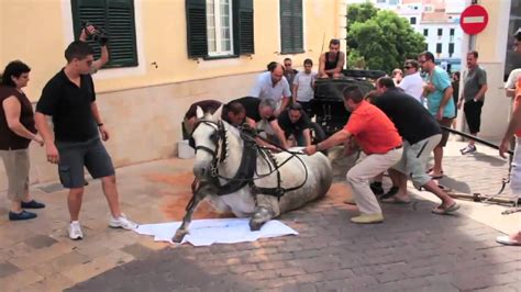 accidente caballos Menorca.mp4   YouTube