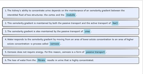 Active Transport Biology Online Dictionary | Autos Post