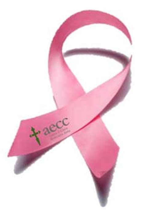 Actos del Día contra el cáncer de mama   aecc de Bizkaia