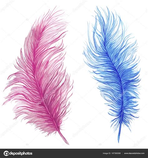 Acuarela, dibujo, plumas, pluma azul, pluma rosa, patrón ...