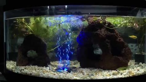 Acuario 40 Litros de Agua Dulce y peces Tropicales !   YouTube