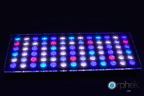 Acuario de iluminación LED • Iluminación del acuario LED ...