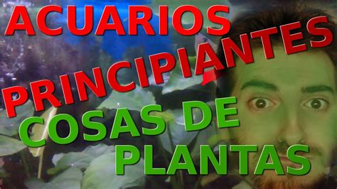 ACUARIOS PRINCIPIANTES ☠☣Y DE PLANTAS FACILES   DIARIO DE ...
