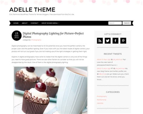 Adelle Theme   Free Personal Blog WordPress Theme ...