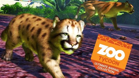 ADORABLE BABY COUGAR | Zoo Tycoon : Ultimate Animal ...