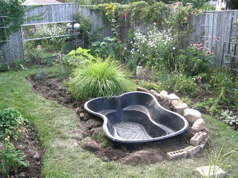 Advice For Starting a New Garden Pond   Empress of Dirt