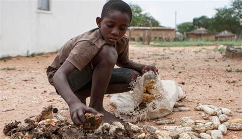 África enfrenta la peor hambruna desde 2005 consecuencia ...